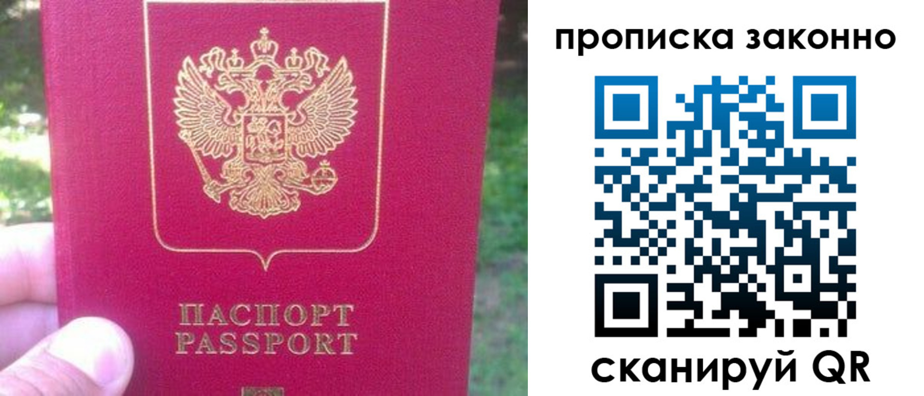 прописка иностранных граждан в Волгоградской области