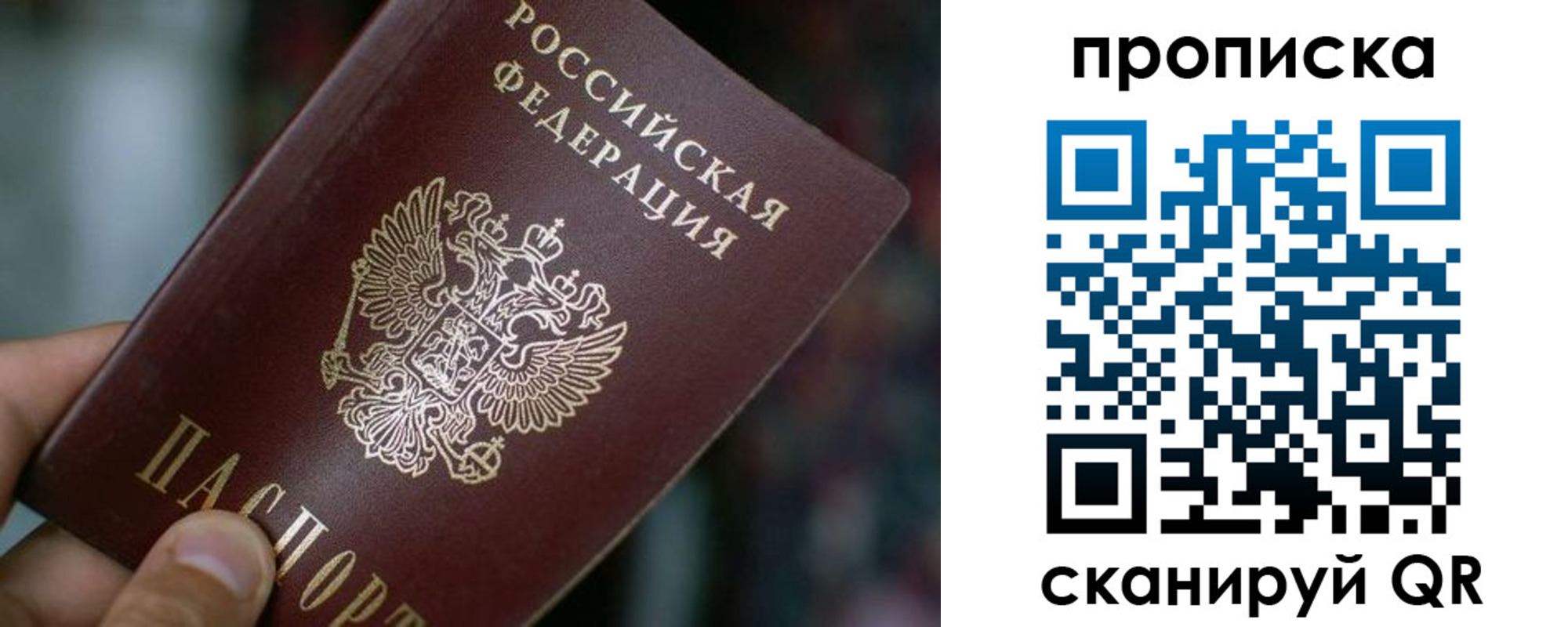 прописка поиск в Волгоградской области